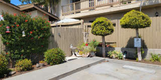Sierra Heights- Senior Apartments Gallery 9