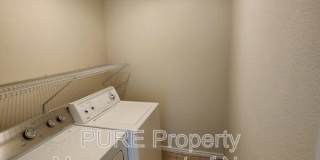 3004 Calla Lilly Gallery 15