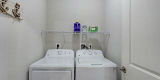 Springs At Port Charlotte Gallery 8