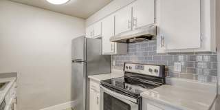 Rise Skyview Gallery 43