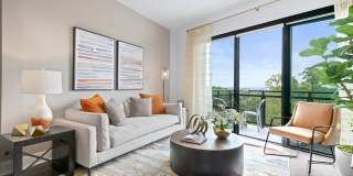 Arya Peachtree Gallery 13