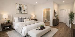 Viva at New Smyrna Beach Gallery 5