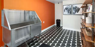 Williamsburg Gallery 11