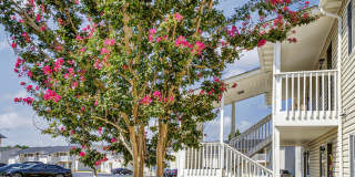 Patriot Point Apartment Homes Gallery 20