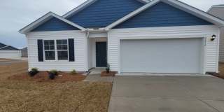 Welcome to our brand new 4-bedroom, 2-bathroom home located in the charming community of Castle Hayne, NC. Gallery 1