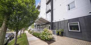 121 Kingsley West Gallery 30