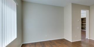 Large home near Aliante*Close to area schools and shopping centers* Gallery 4