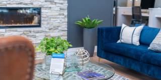 Willow Springs Gallery 25