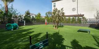 Altura at the Groves Gallery 23