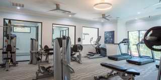 Cortland MacArthur Gallery 13