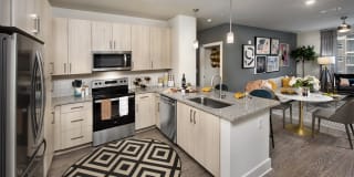 Symphony at Suwanee Creek Gallery 1