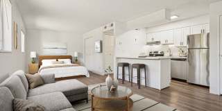 Willowstone Gallery 6
