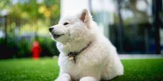 Leksa at Cityplace Gallery 72