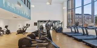 Windsor at Liberty House Gallery 25