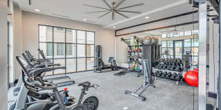 The Addie Gallery 23