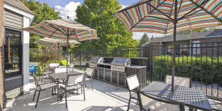 Eden Commons Gallery 26