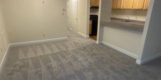 Hewitt Gardens Gallery 49