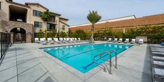 Altura at the Groves Gallery 28