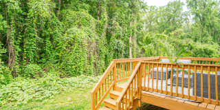 131 High Bluff Circle Gallery 28