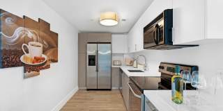 Wake Biscayne Bay Gallery 23