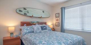 17 Vista Palm Lane Gallery 21