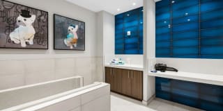 Avalon Fort Lauderdale Gallery 25