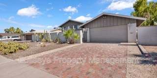 1333 E. Donner Dr. Gallery 1