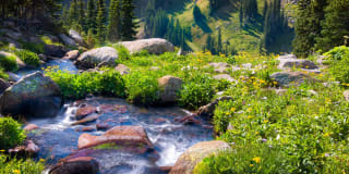 Glenlake Apartments Gallery 29