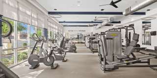 Axis Camelback Gallery 20