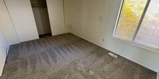 Live in the Timbers Gallery 15