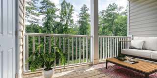 Henley at Mirror Lake Gallery 17