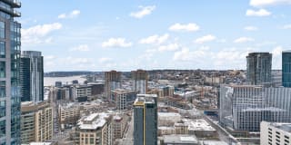 Windsor Cirrus Gallery 25