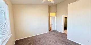 4467 E Dandelion Street Gallery 8