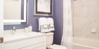 Element Oakwood Gallery 7