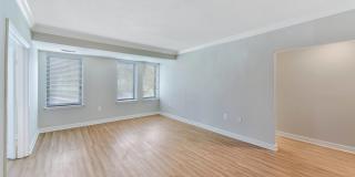 The Saratoga Gallery 20