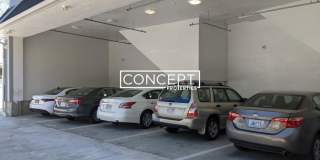 12 Fern Gallery 8
