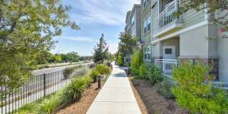 Vela Apartments Gallery 99