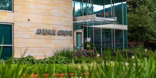 Avenue Grove Gallery 32