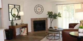The Cypress Gallery 2