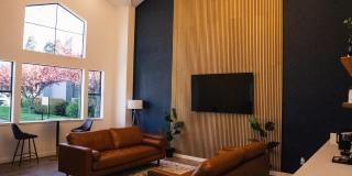 Renew on Summerfield Gallery 2