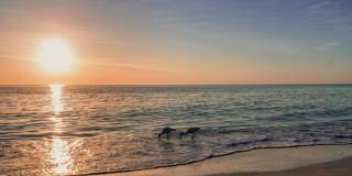 ** THE VINEYARDS SEASONAL ** 2 BED PLUS A DEN\2 BATH 2ND FLOOR COACH HOME READY FOR YOU ** VACATION READY HOME ** Gallery 63