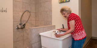 Parkwood Pointe Gallery 34