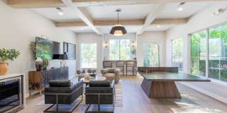 The Oasis Apartments Gallery 20