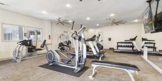 The Adalene Gallery 16