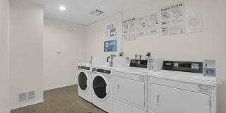Laurel Terrace Gallery 11