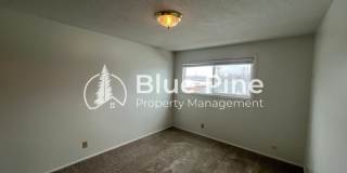 542 Gladstone Street Gallery 8