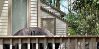 23 Bloomsbury Court Gallery 24