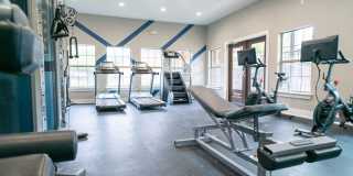 Palmera on 3009 Gallery 15