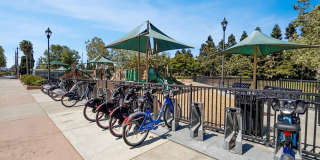 830 Frederick CMN Gallery 28