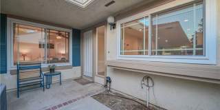 15 Camphor S Gallery 27